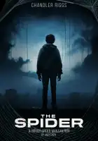 Паук смотреть онлайн (2024)