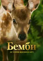  Бемби. История жизни в лесу смотреть онлайн (2024) 