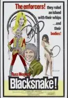 смотреть онлайн Черная змея (1973) бесплатно в HD 