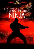 смотреть онлайн Месть ниндзя (1983) бесплатно в HD 