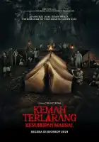 смотреть онлайн Коллективный транс (2024) бесплатно в HD 