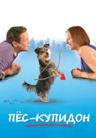 смотреть онлайн Пес-купидон (2012) бесплатно в HD 