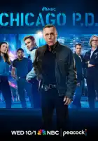 смотреть онлайн Полиция Чикаго сериал 1-13 сезон бесплатно в HD 
