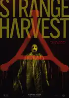смотреть онлайн Странный урожай (2024) бесплатно в HD 